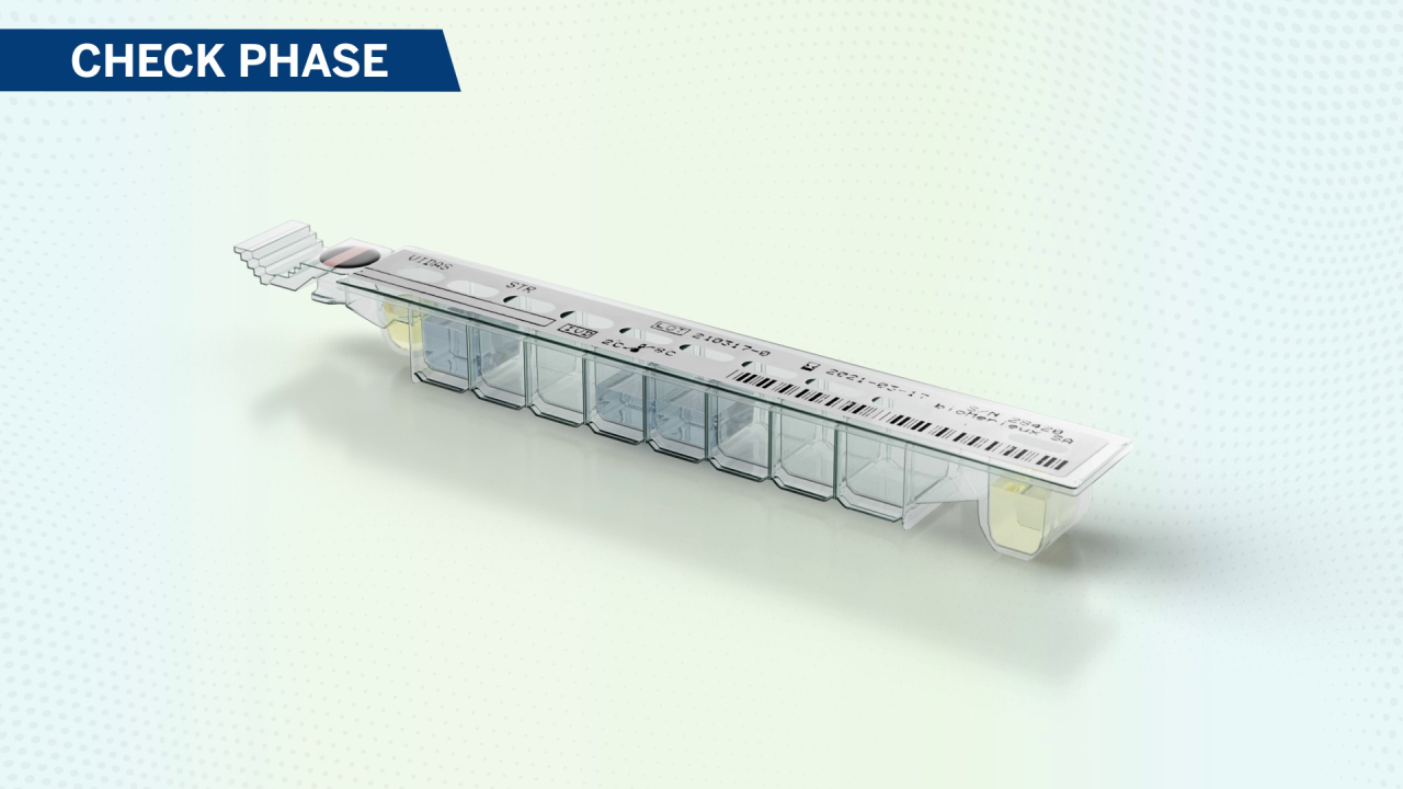 Vidas Test Principle thumbnail.png